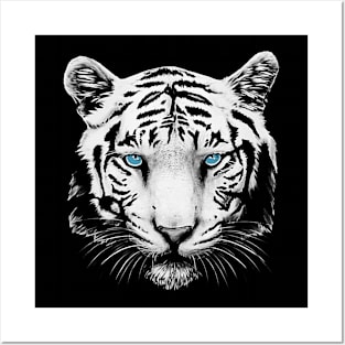 White Tiger Face Posters and Art